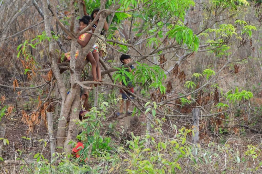 indigenas observam a chegada dos militares e medicos nas aldeias