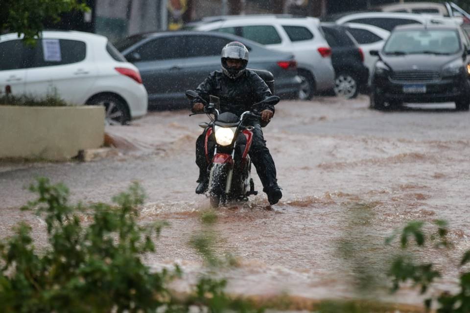 Chuva forte derruba árvores e causa alagamentos no DF