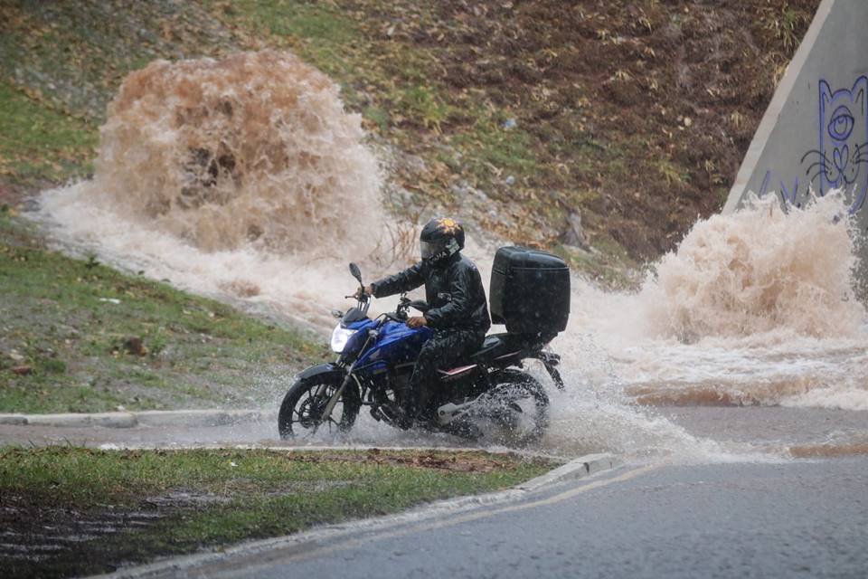 Chuva forte derruba árvores e causa alagamentos no DF