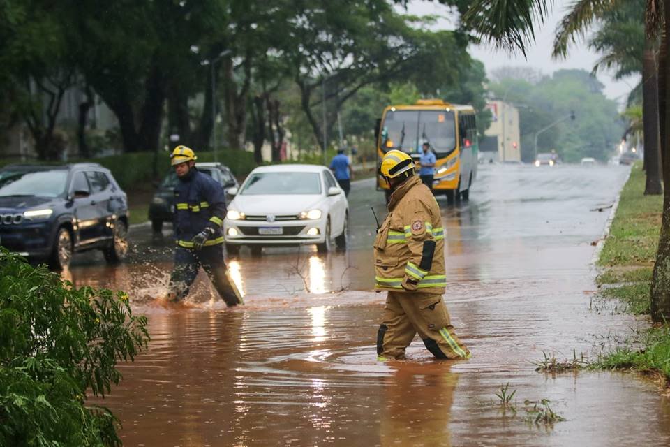 Chuva forte derruba árvores e causa alagamentos no DF