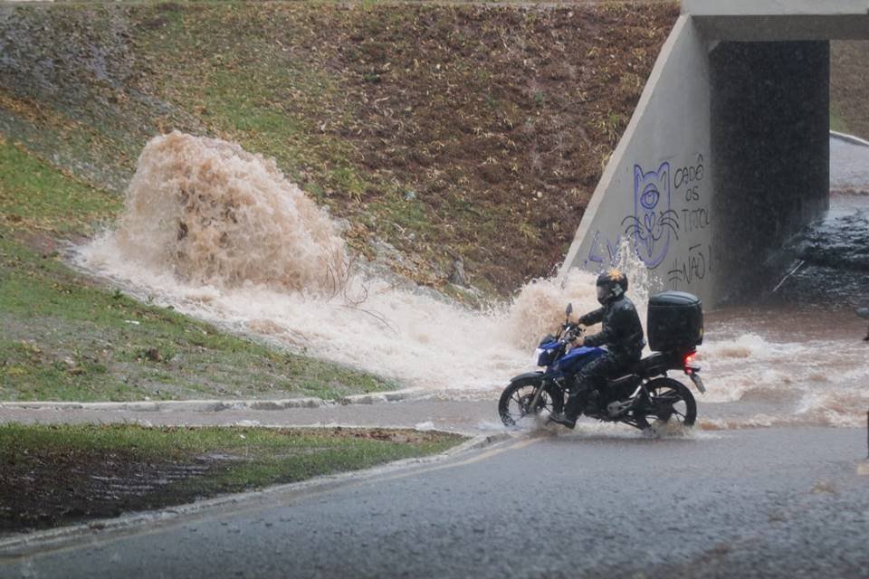 Chuva forte derruba árvores e causa alagamentos no DF