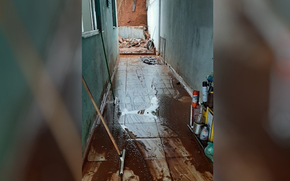 goias animais morrem soterrados em temporal
