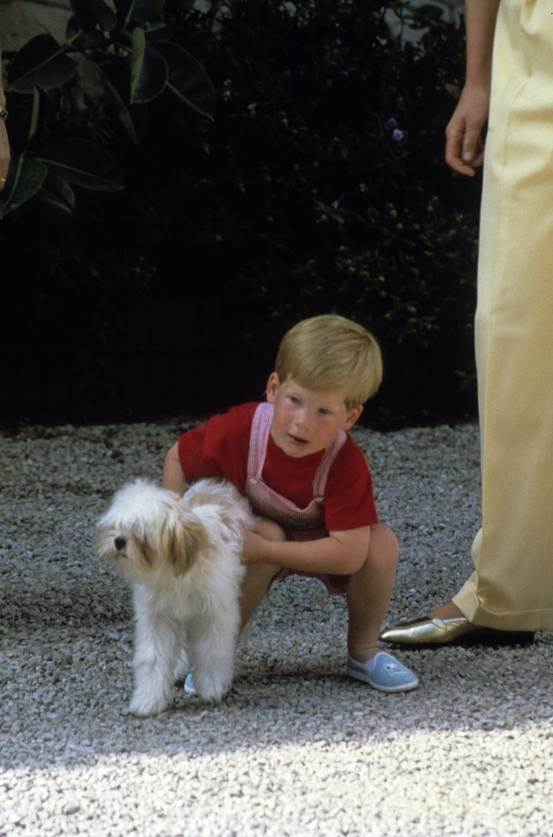 Harry brinca com um cachorro durante as férias na Espanha (1987)