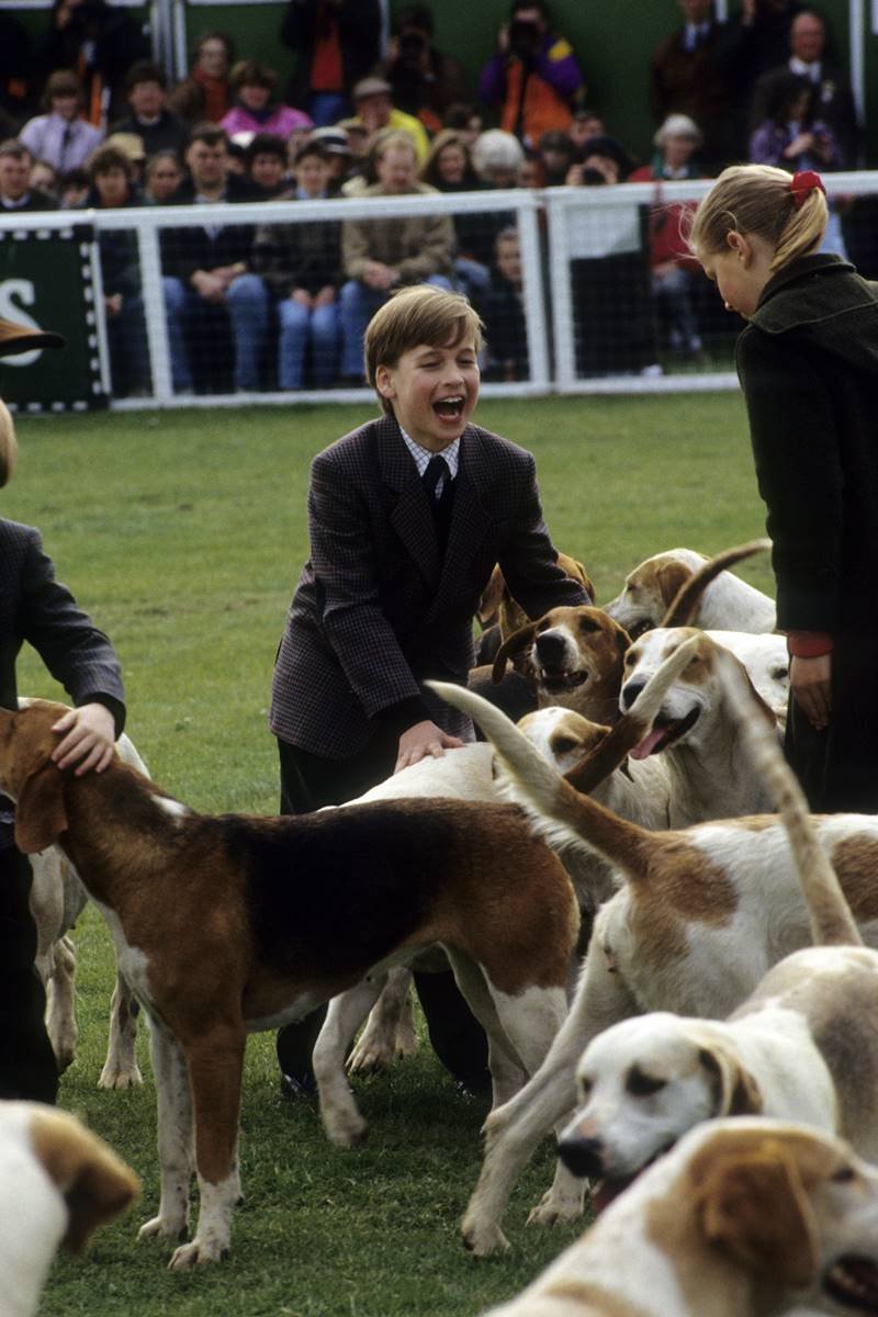 Príncipe William e Harry