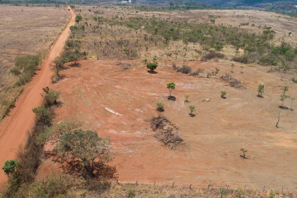 Grileiros são multados em R$ 108 mil por devastação em área de Cerrado