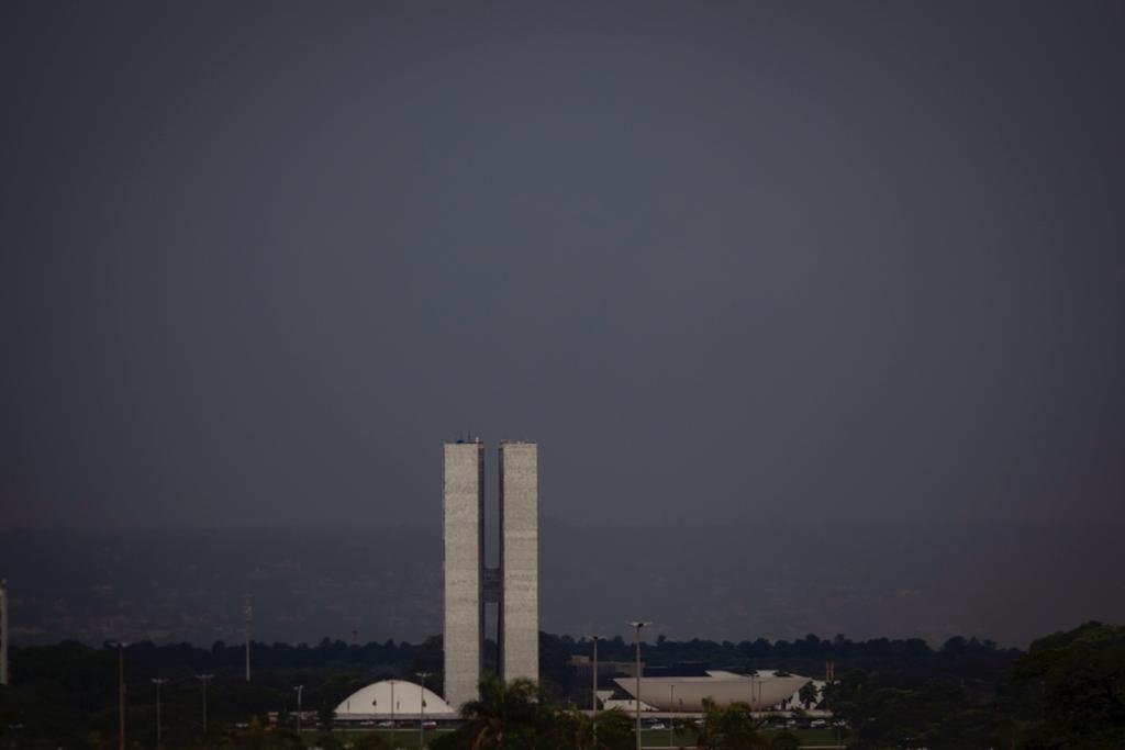 Capivara polar é vista hoje em Brasília! Frio meme
