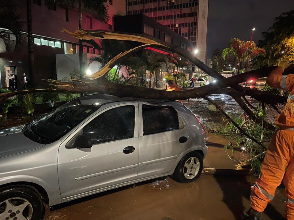 Árvore atingiu carro no Setor Hoteleiro Norte