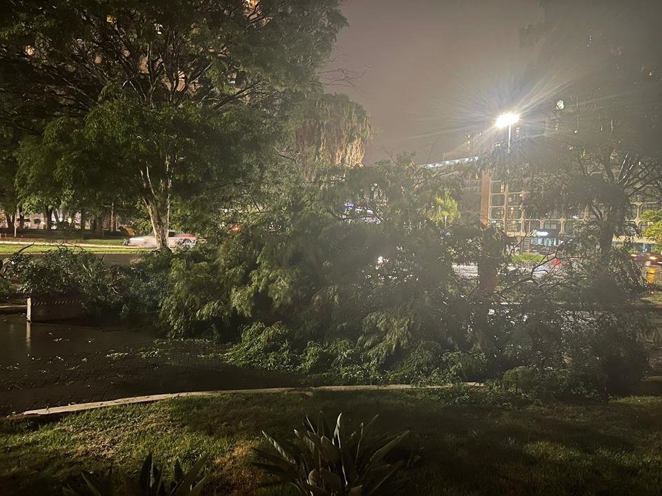 Queda de árvore próximo ao Edifício Parque Cidade. Próximo ao Pátio Brasil