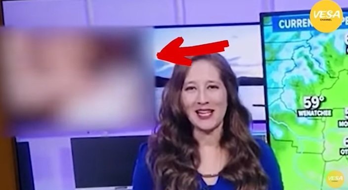 Jornal exibe filme pornô no lugar de previsão do tempo. Veja vídeo