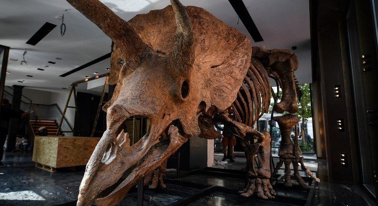 Fóssil de triceratops é leiloado por US$ 7 milhões em Paris