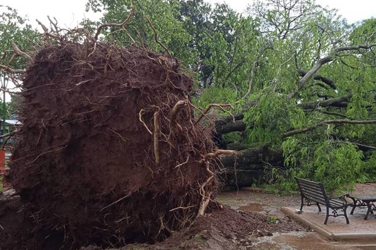Temporais causam estragos no Paraguai e avançam para o Brasil