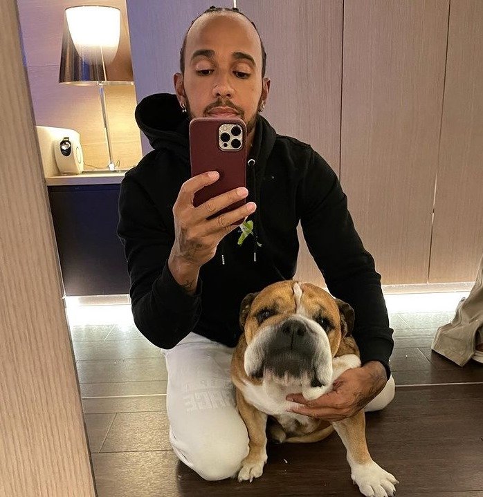 Roscoe e Hamilton