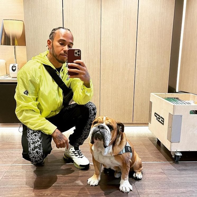 Roscoe e Hamilton