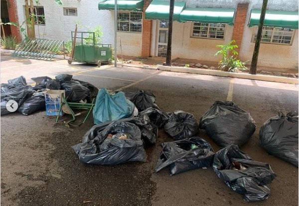 goias camisinhas bosque