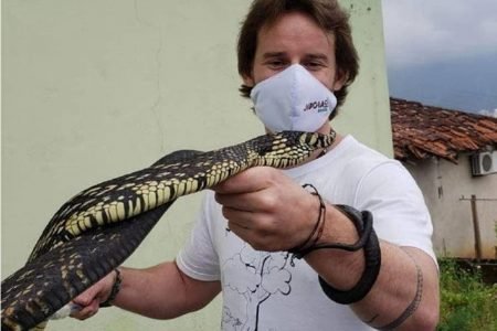 Mais de 250 cobras já foram capturadas em Jaraguá do Sul em 2021