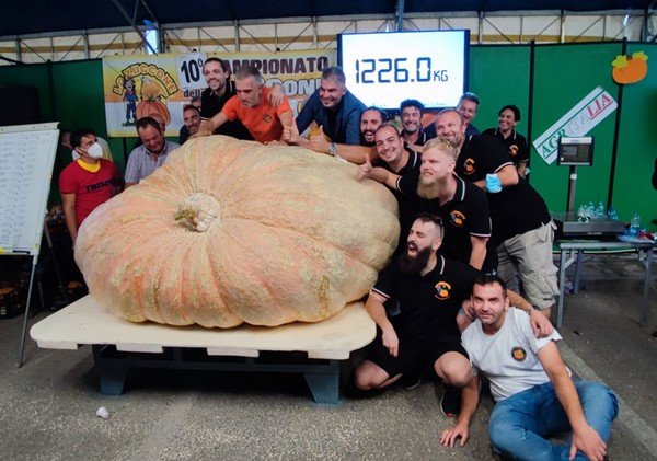 Abóbora mais pesada do mundo foi cultivada na Itália
