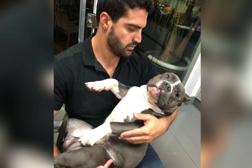 giuliano ferrado e o cachorro weiser que morreu em voo da latam no dia 14 de outubro