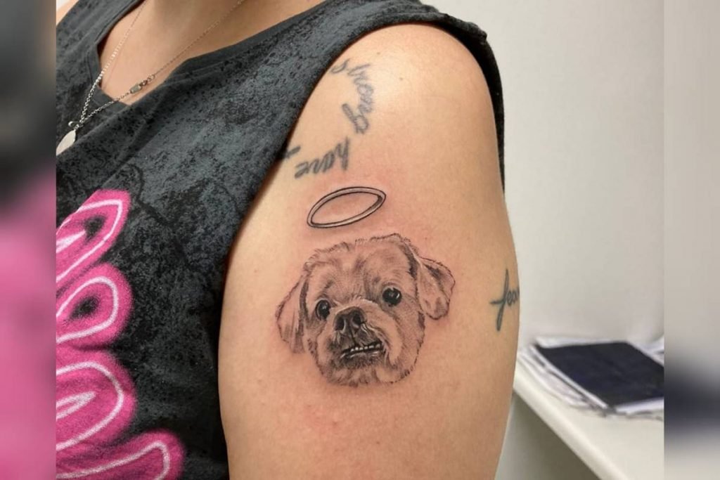 advogada ana luíza nasfif e o cachorro marley