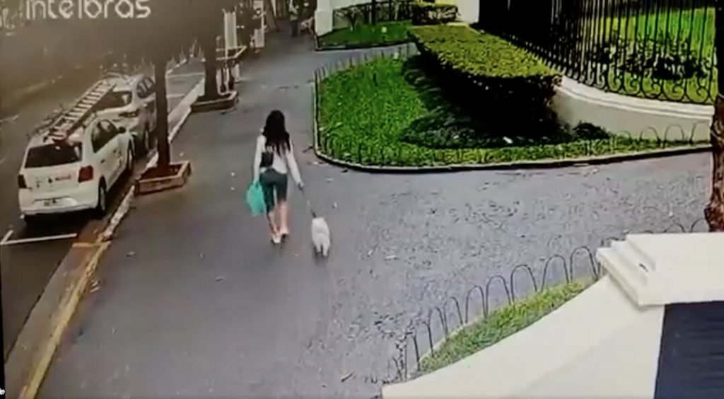 A mulher estava voltando da padaria com o cachorro nesta sexta-feira (29/10)
