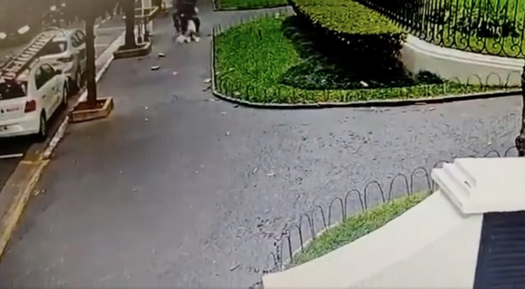 Segundo a PM, a mulher e o cachorro estão bem