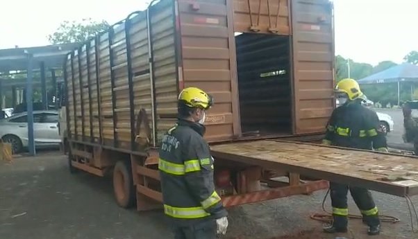 Cocaína é encontrada em fundo falso de caminhão boiadeiro em Goiás