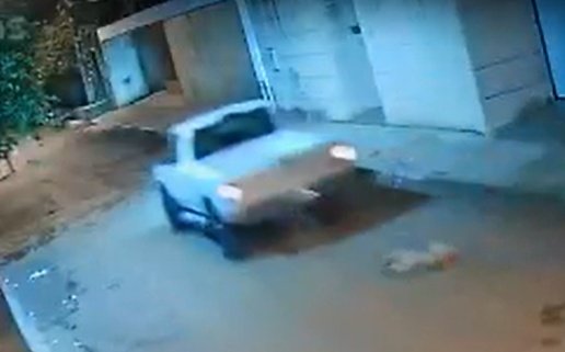 Cadela é atropelada por caminhonete branca