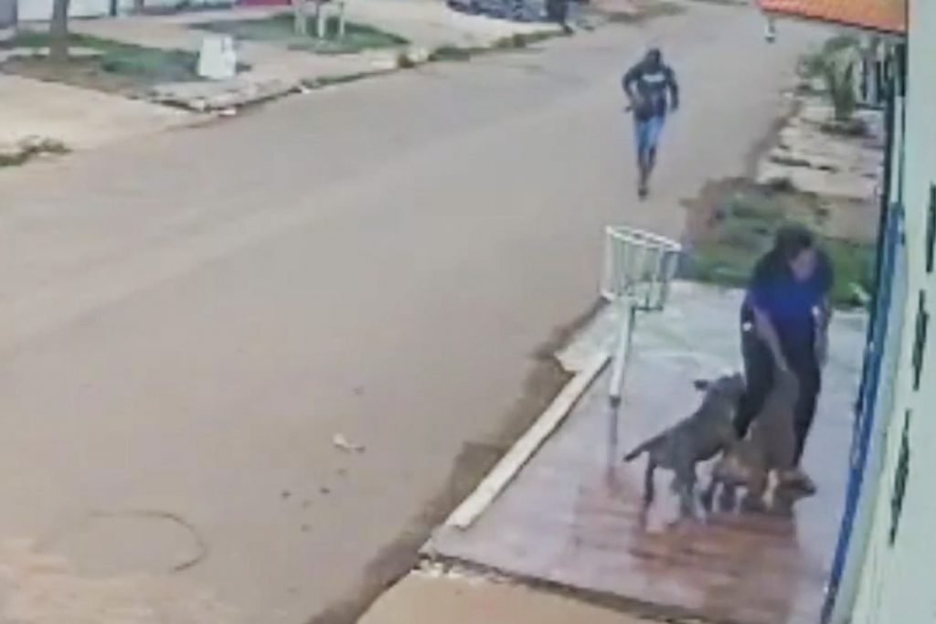 ataque feroz de cachorros deixa mulher com pernas dilaceradas