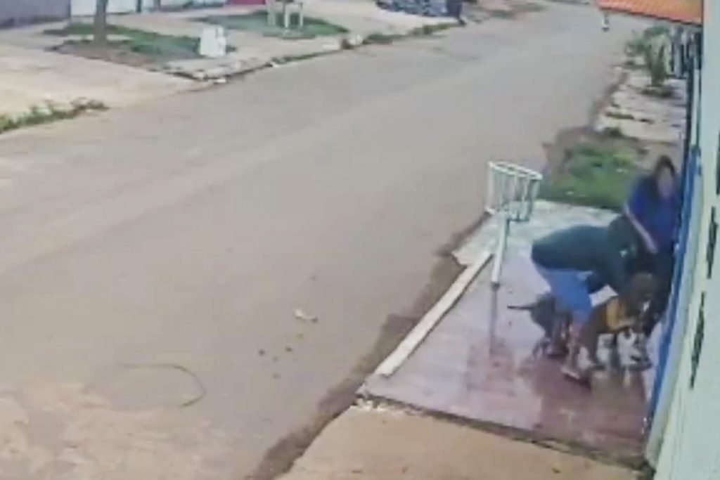 ataque feroz de cachorros deixa mulher com pernas dilaceradas