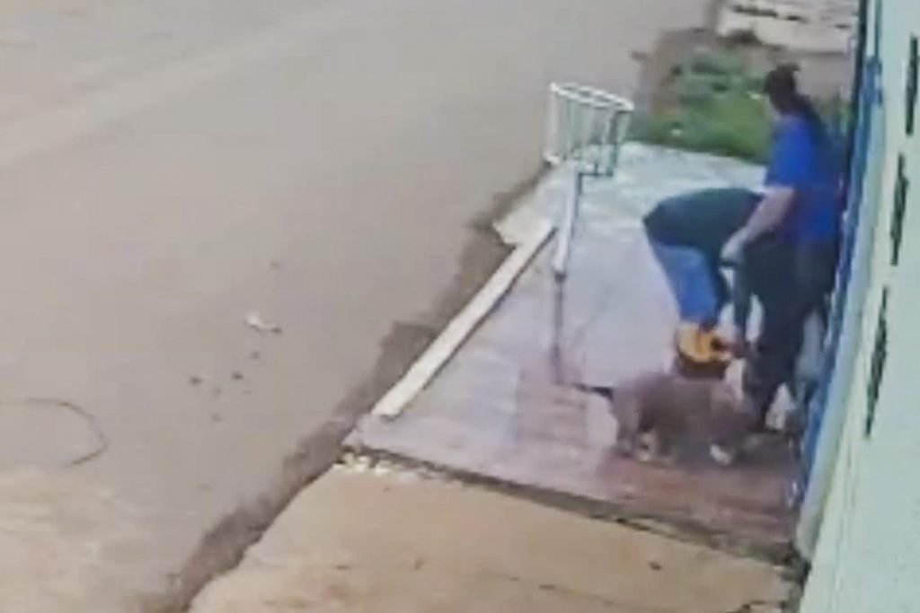 ataque feroz de cachorros deixa mulher com pernas dilaceradas