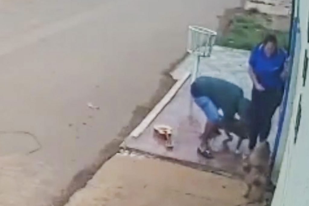 ataque feroz de cachorros deixa mulher com pernas dilaceradas