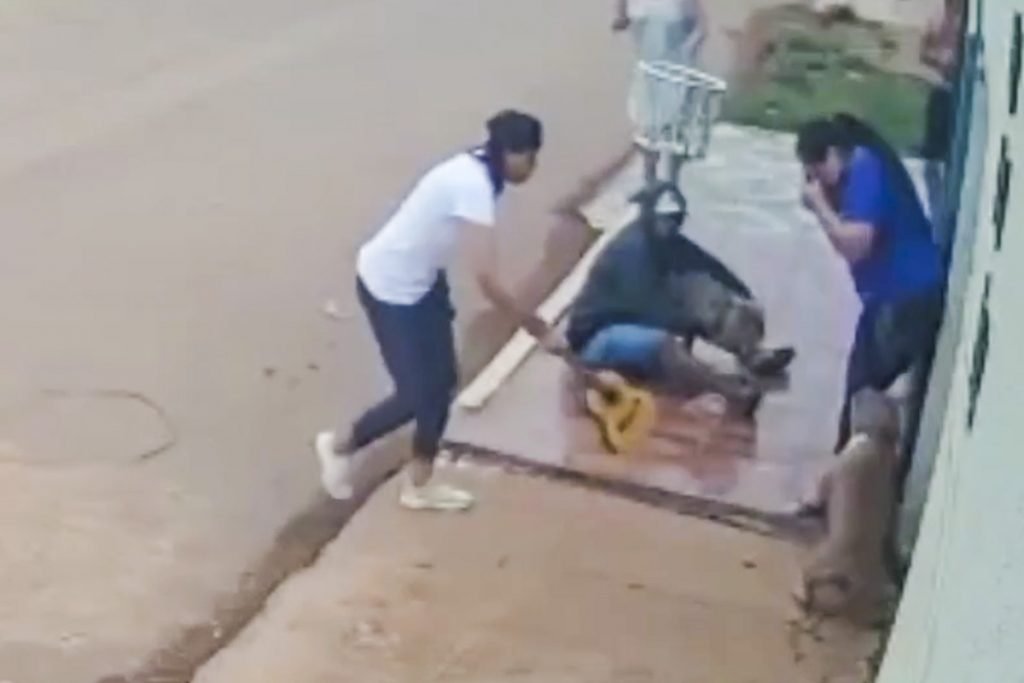 ataque feroz de cachorros deixa mulher com pernas dilaceradas 12