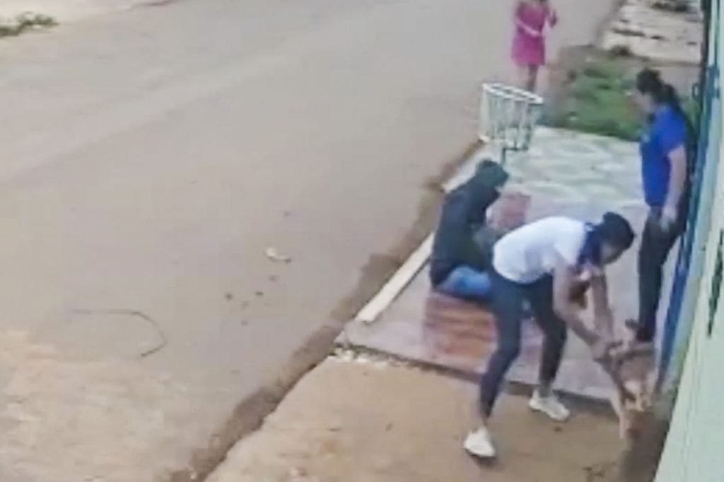 ataque feroz de cachorros deixa mulher com pernas dilaceradas 12