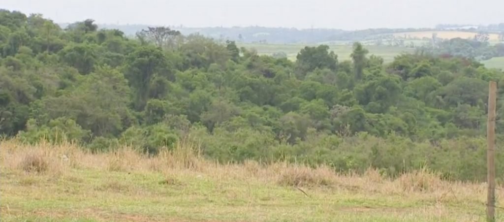 Região onde foi encontrado o cemitério clandestino do