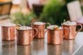 Moscow mule, Wine Garden