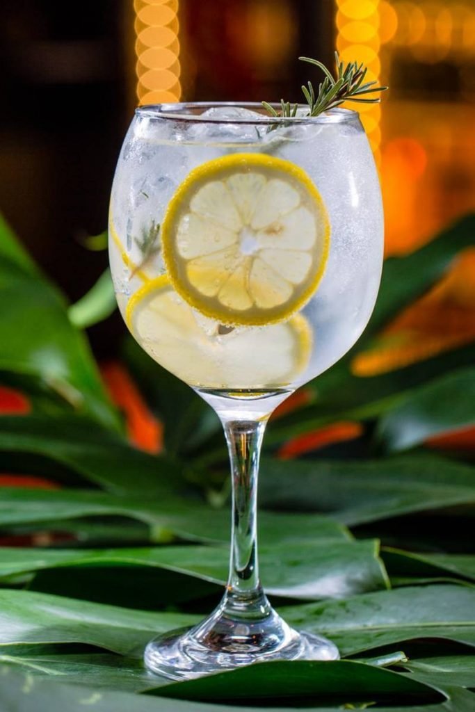 gin tonica