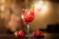 drinque de tonica com frutas vermelhas
