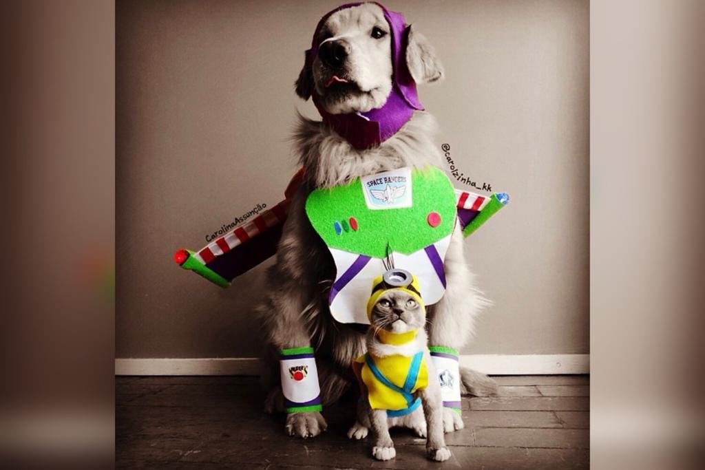 Cadela fantasiada de buzz lightyear e o gato de Minion
