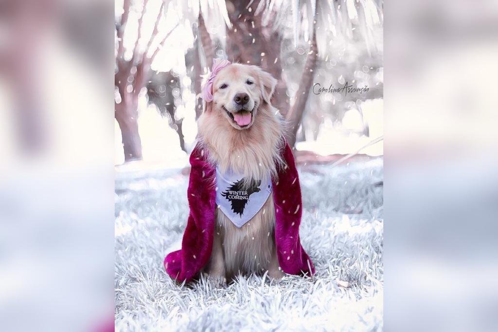 Summer fazendo homenagem à série Game of Thrones