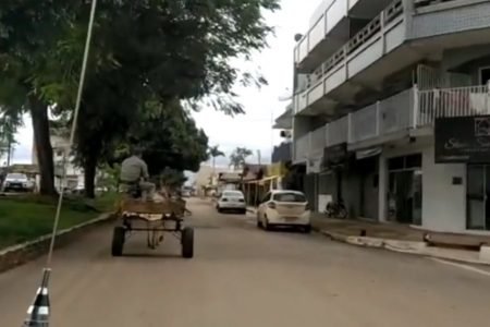 goias carroceiro bebado