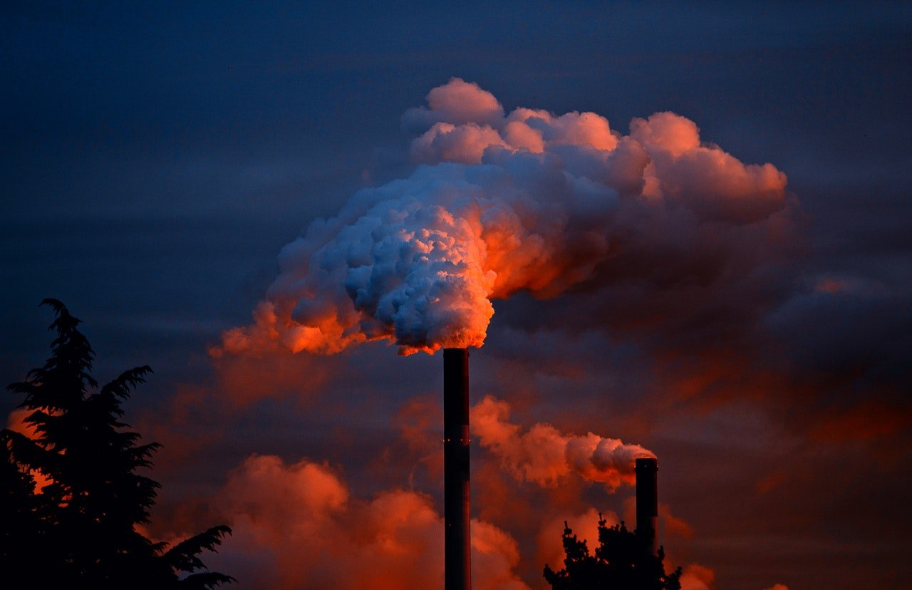Poluição é tema de debate em painel na COP27 - Metrópoles