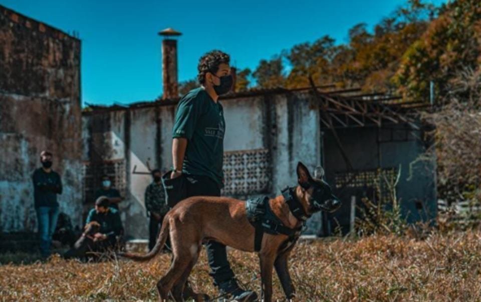 rapaz autista com cão de serviço