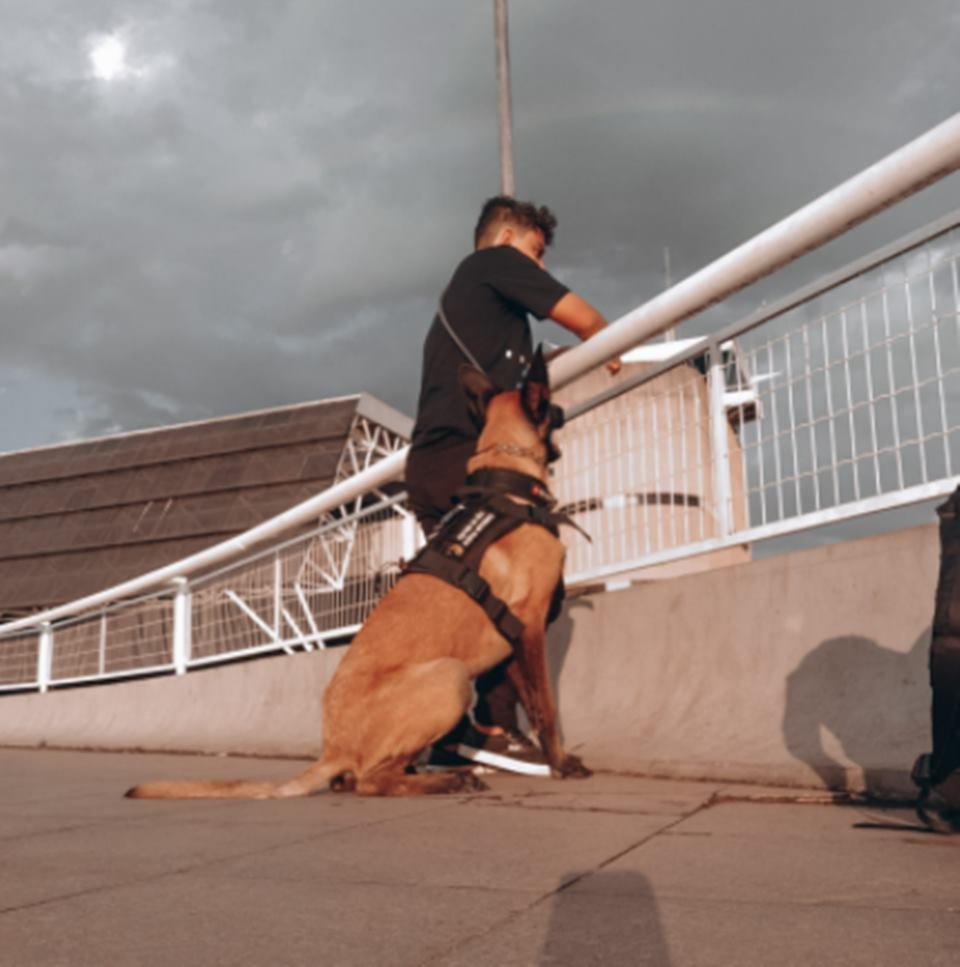rapaz autista com cão de serviço