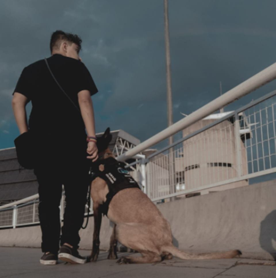 rapaz autista com cão de serviço