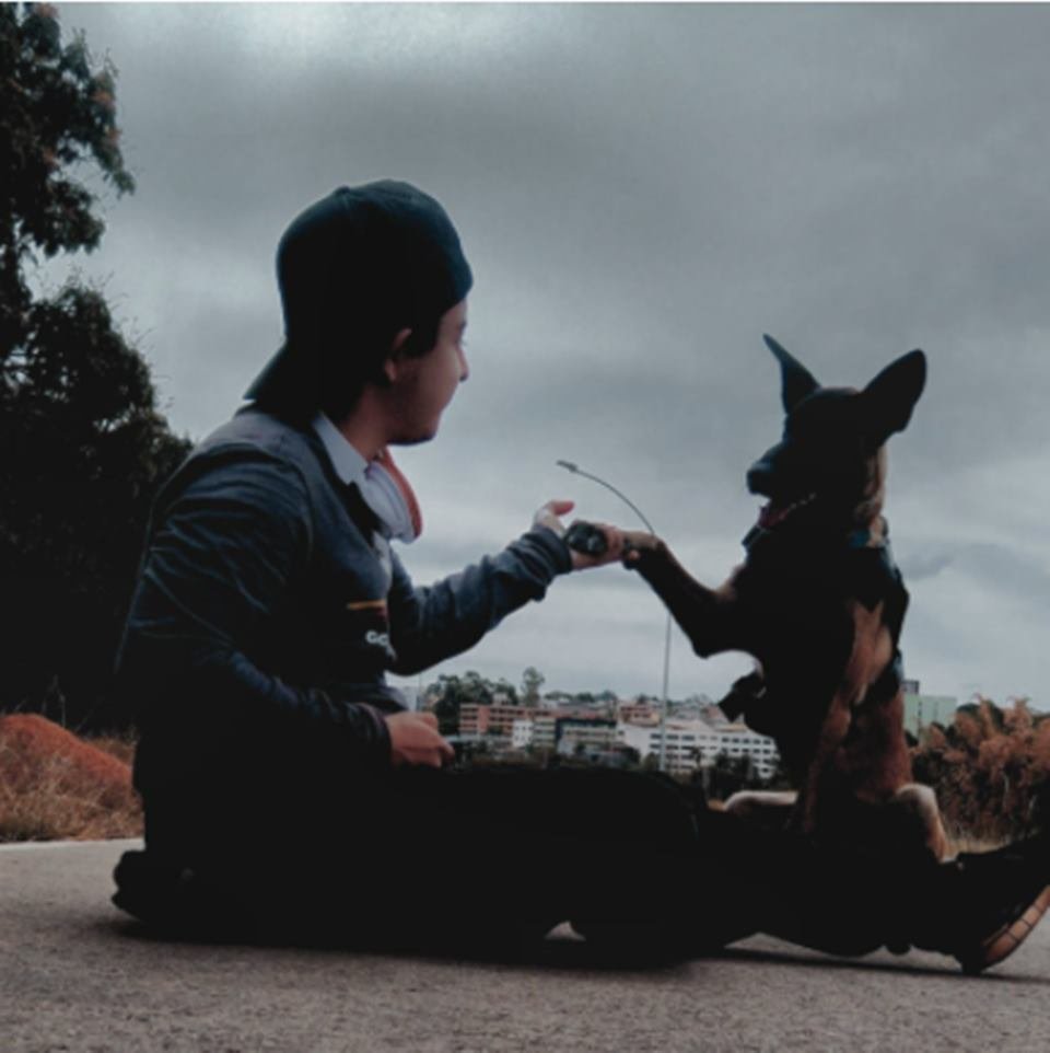 rapaz autista com cão de serviço