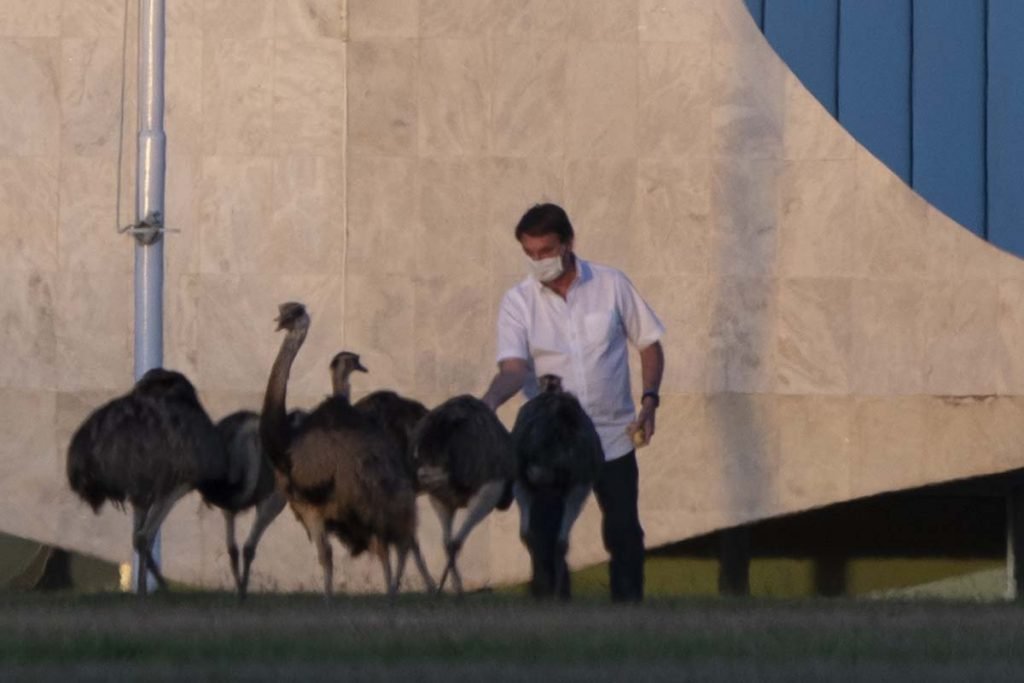 Presidente Jair Bolsonaro e bicado por ema em frente ao Palacio