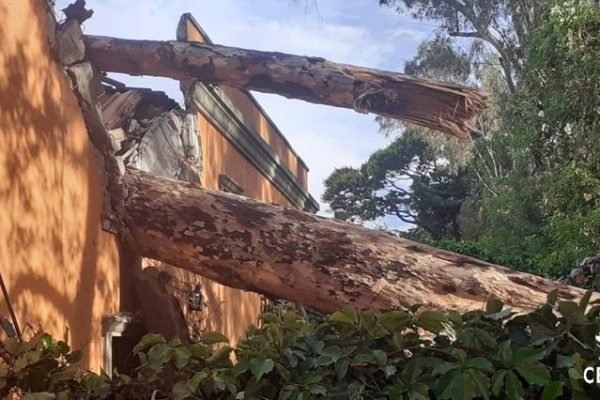 Tronco de árvore caído sobre casa