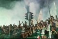 Festa do Palmeiras