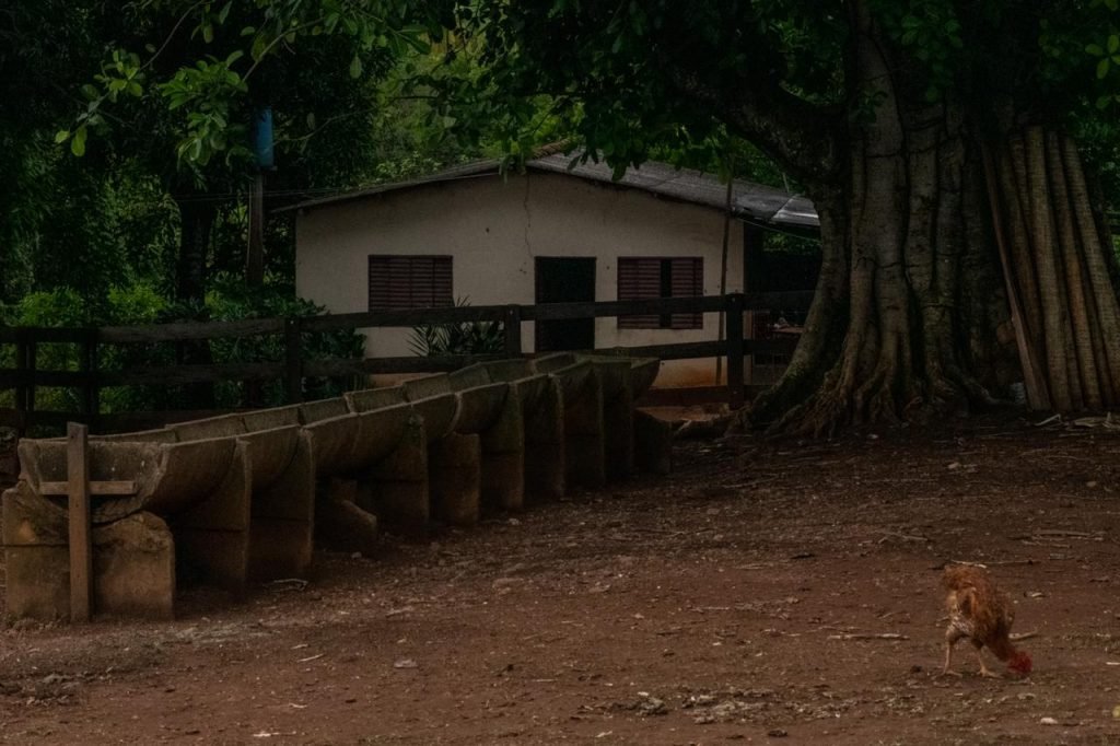 Casa onde ocorreu o homicídio em Corumbá