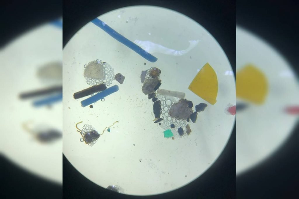 Microplásticos encontrados no campo vistos sob um microscópio de luz