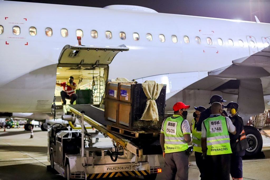 Avião descarregando caixa e pessoas vestidas de verde